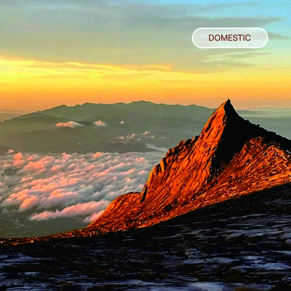 Domestic Kinabalu
